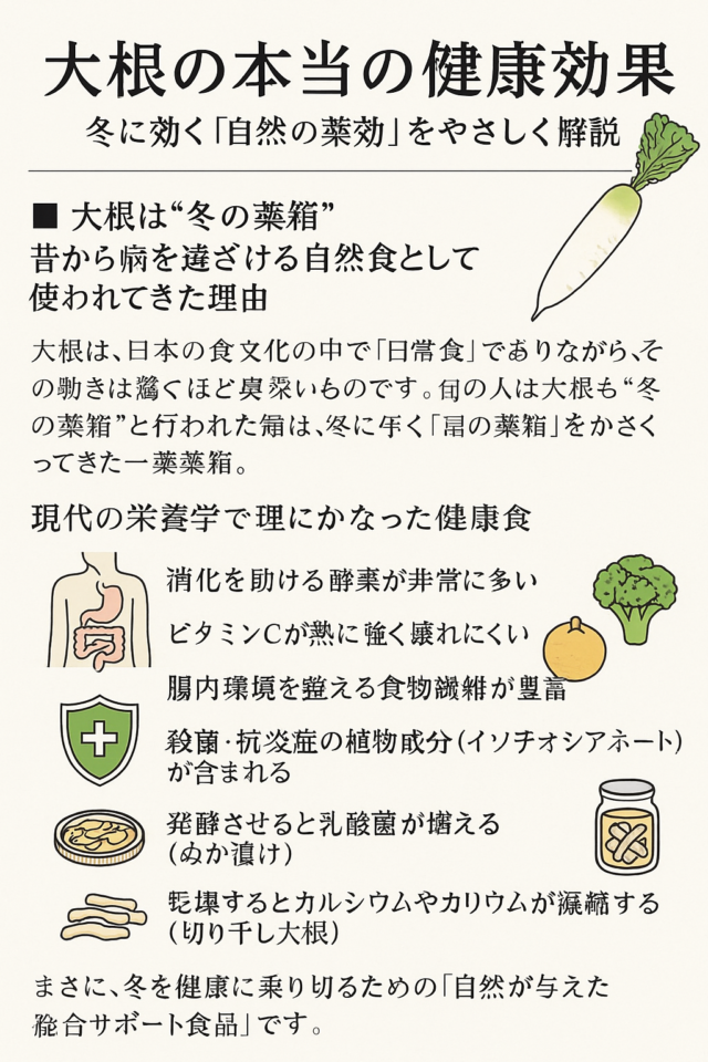 大根は冬の天然サプリとは？｜免疫・消化・解毒を助ける伝統食のちから